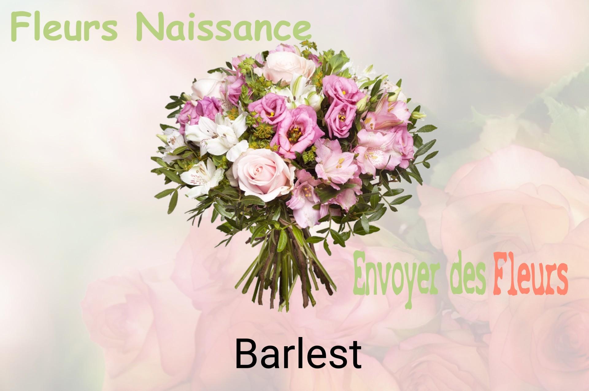 Bouquet de fleurs de naissance livré à Barlest