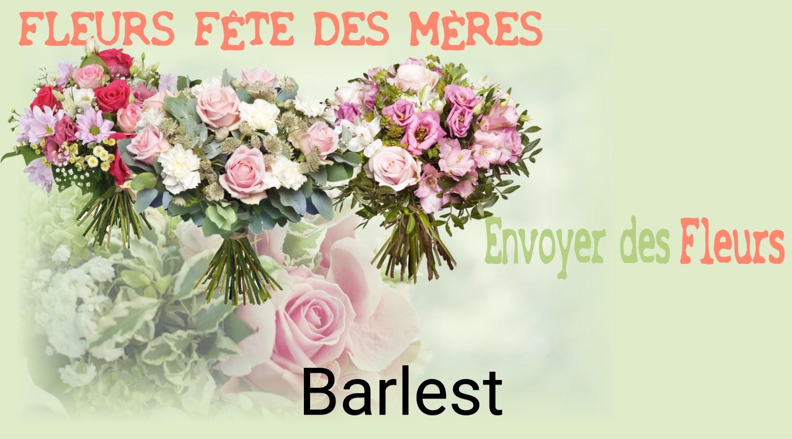 Bouquet de Fête des Mères livré à Barlest